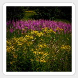 Bluebell Woods Flowers Sticker